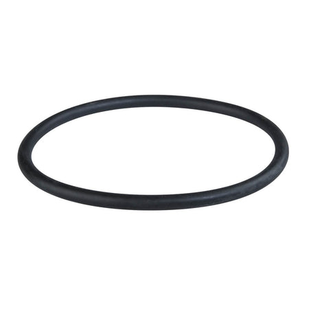 Replacement O-ring For Oasis Big Filter Housings